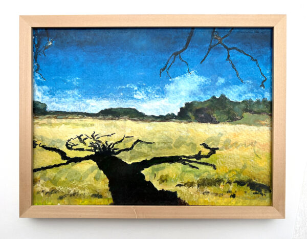 Can you feel the sea 2024, 1/6