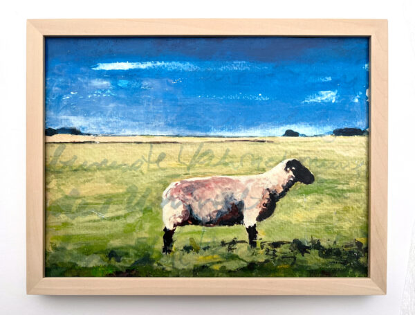 Can you feel the sea 2024, 2/6