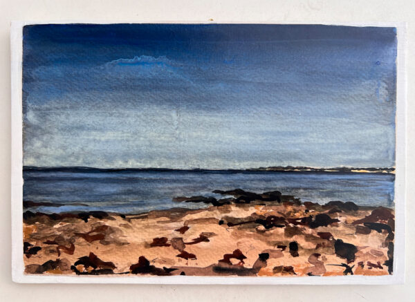 Can you feel the sea 2025, 12/12