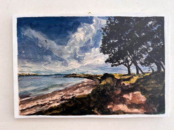 Can you feel the sea 2025, 3/12