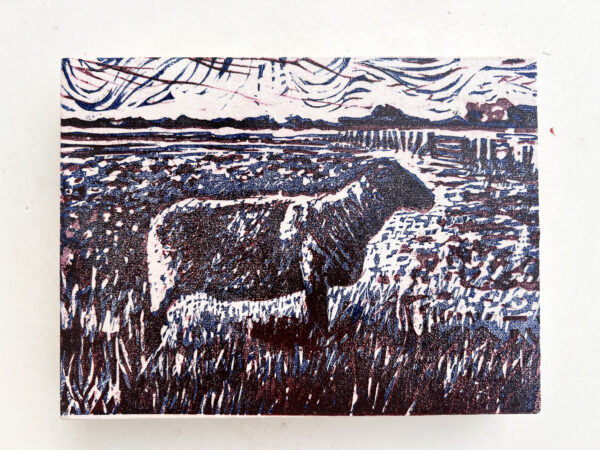 Schaap op de Koog III, 1/4