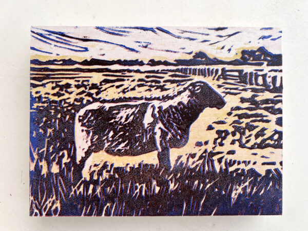 Schaap op de Koog III, 2/4