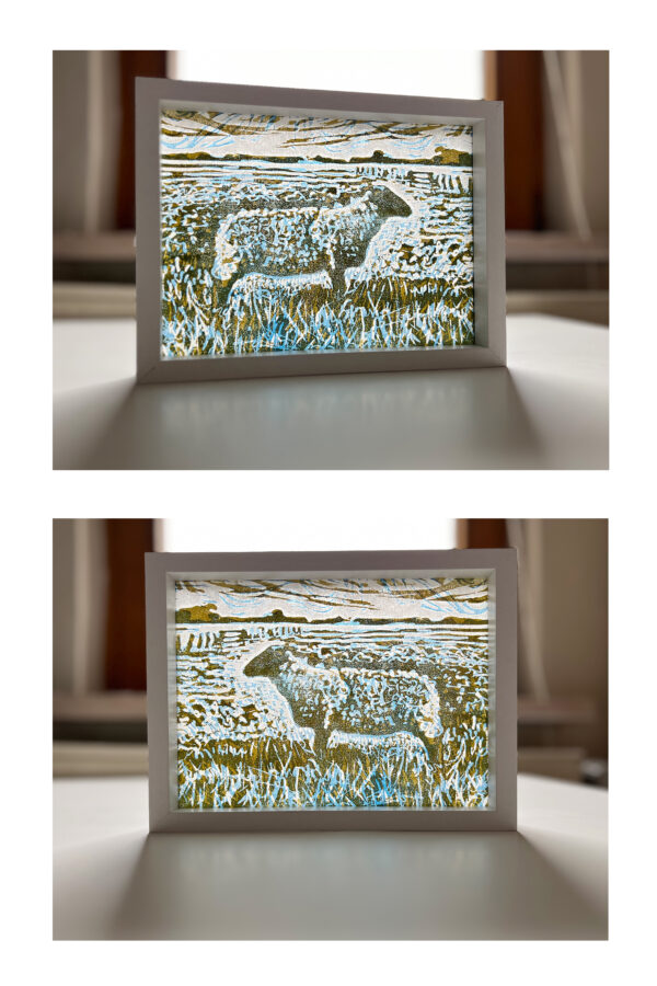 Schaap op de Koog II, 10/15