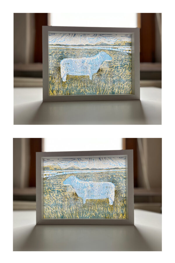 Schaap op de Koog II, 11/15