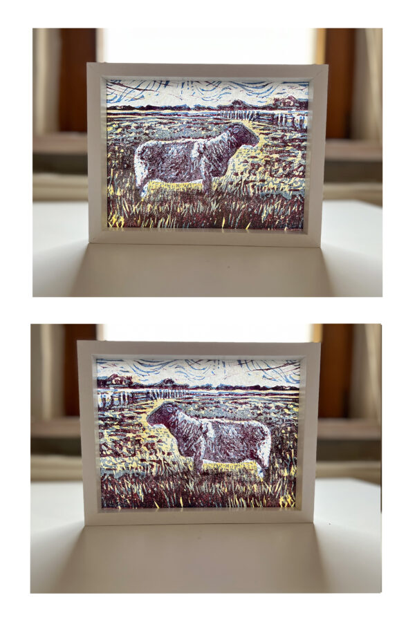 Schaap op de Koog II, 14/15