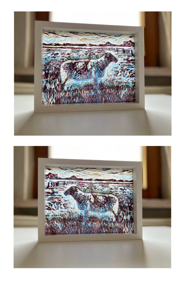 Schaap op de Koog II, 15/15