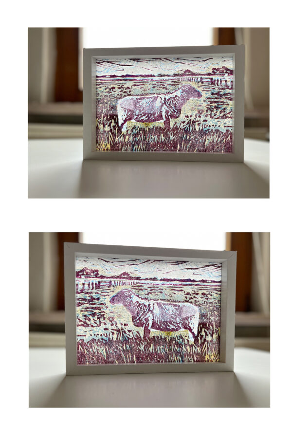 Schaap op de Koog II, 2/15