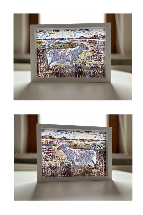 Schaap op de Koog II, 3/15