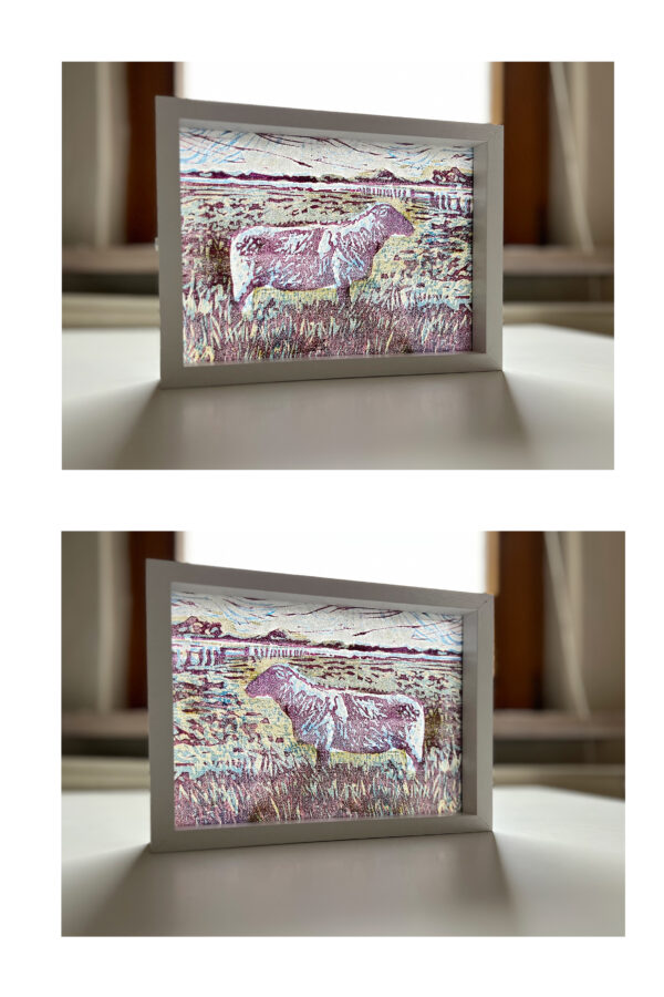 Schaap op de Koog II, 5/15