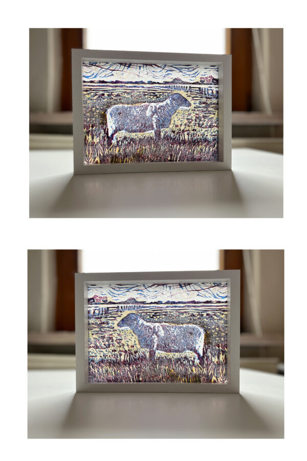 Schaap op de Koog II, 6/15