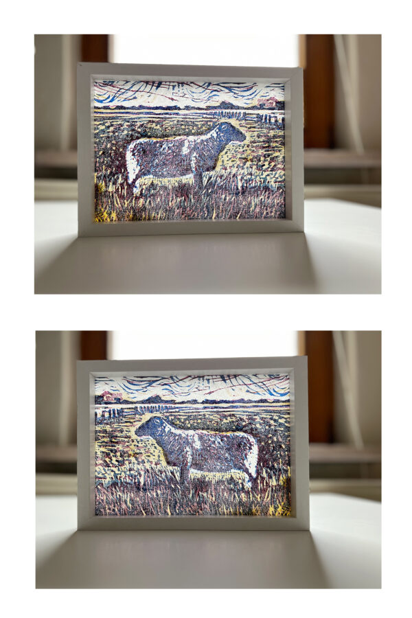 Schaap op de Koog II, 8/15