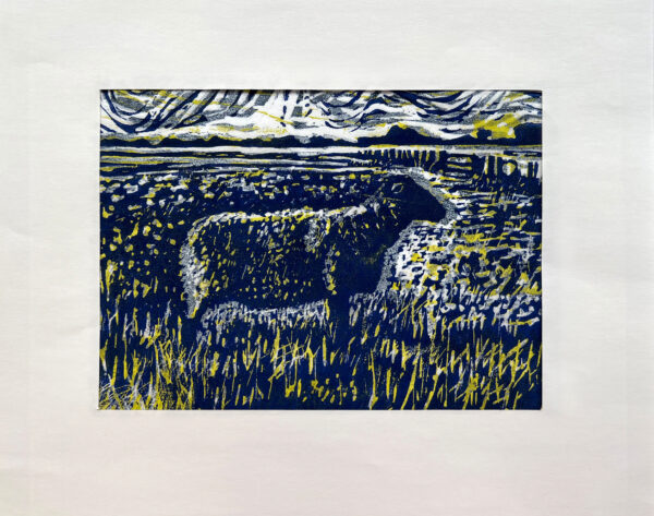 Schaap op de Koog I, 10/22