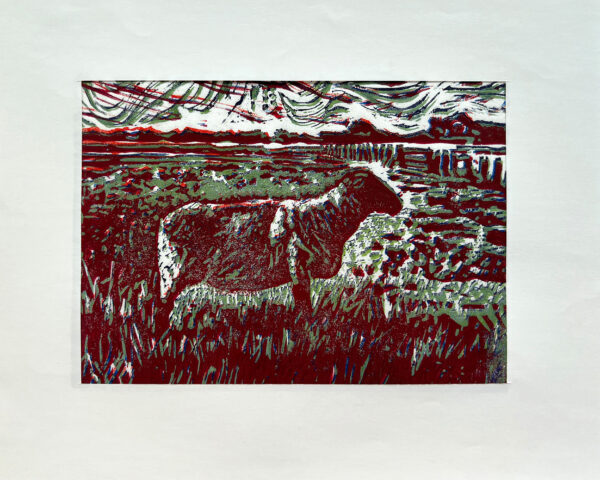 Schaap op de Koog I, 12/22