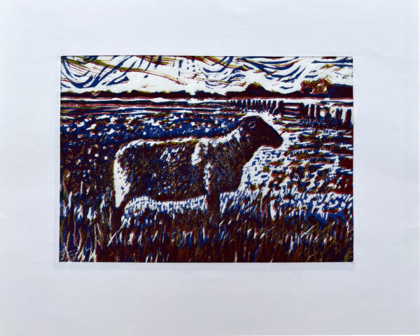 Schaap op de Koog I, 16/22