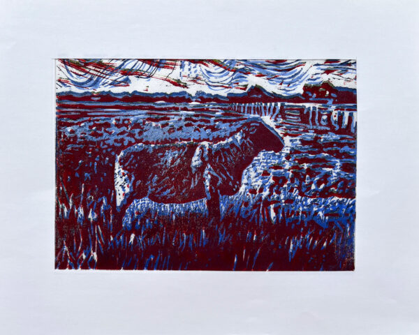 Schaap op de Koog I, 17/22