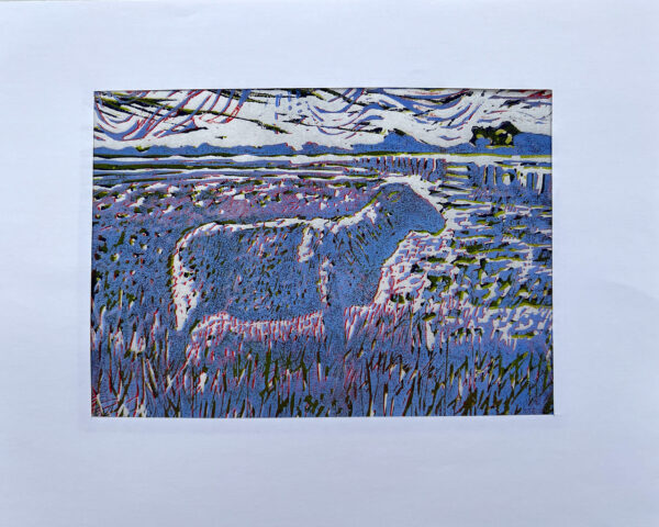 Schaap op de Koog I, 19/22