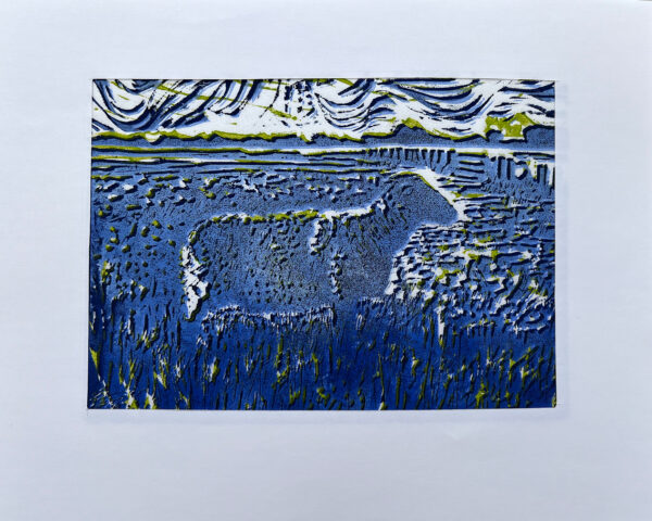 Schaap op de Koog I, 21/22