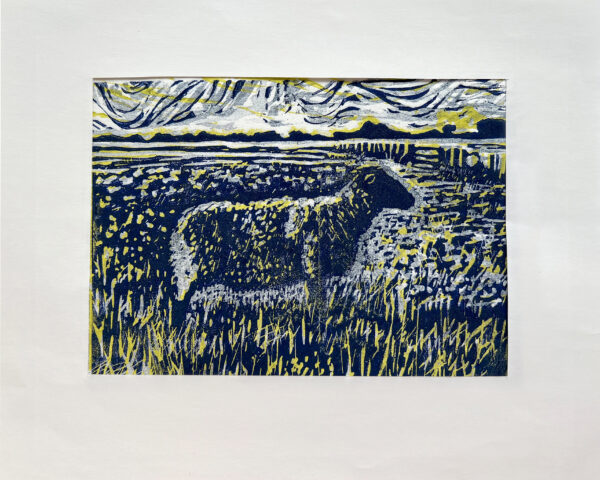 Schaap op de Koog I, 2/22