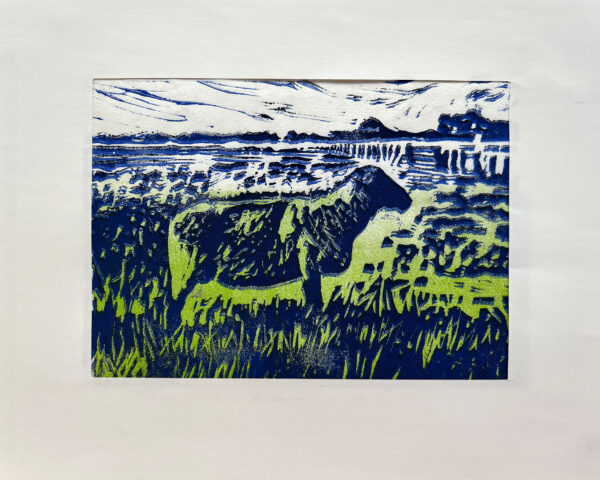 Schaap op de Koog I, 5/22