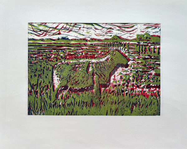 Schaap op de Koog I, 7/22