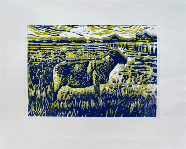 Schaap op de Koog I, 9/22